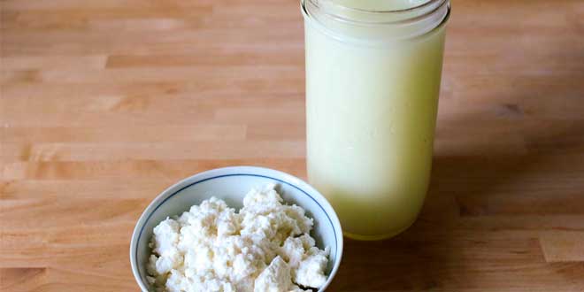 concentrado de suero de leche