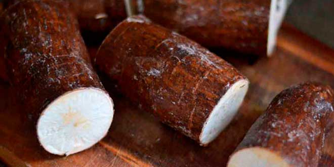 Yuca Yuca fuente de hidratos de carbono