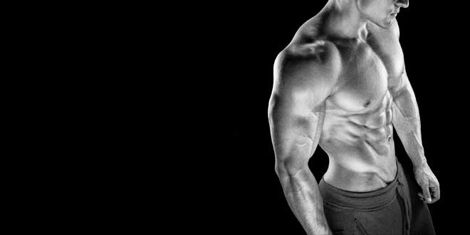 Combinar Packs de Animal