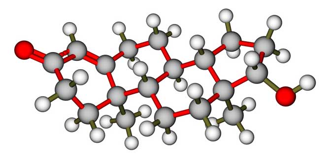 estructura-molecular-testosterona