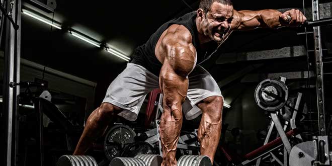 ¿Cuál es la máxima ganancia muscular posible?