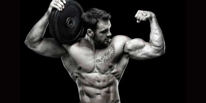 modelos-para-ganar-musculo
