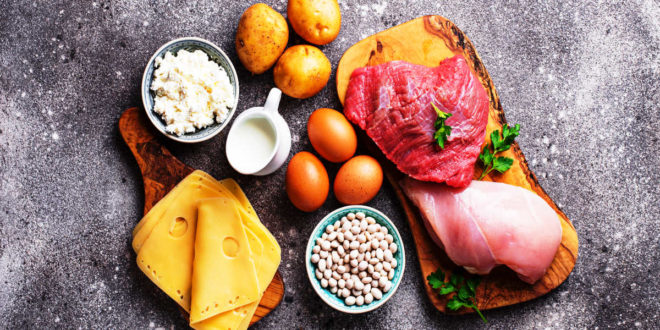 ¿Conoces las Proteínas de Origen Animal?