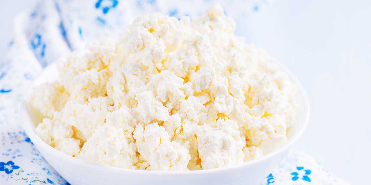 ¿Qué cantidad de proteína animal aporta el queso cottage?