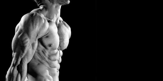 Fibras musculares