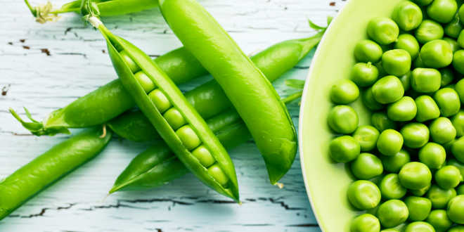 Guisantes vegetal para celiacos