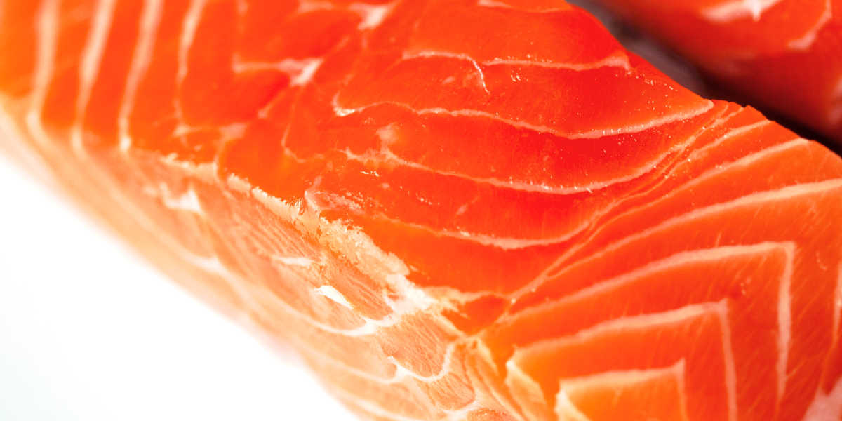 ¿Qué cantidad de proteína animal aporta el salmón?