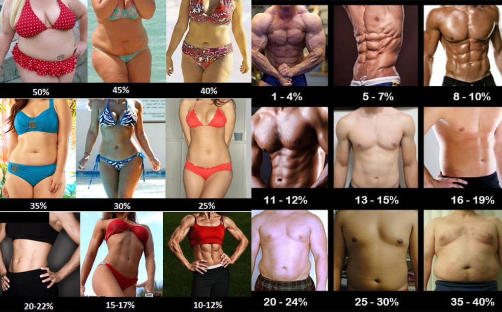 Comparativa porcentaje grasa