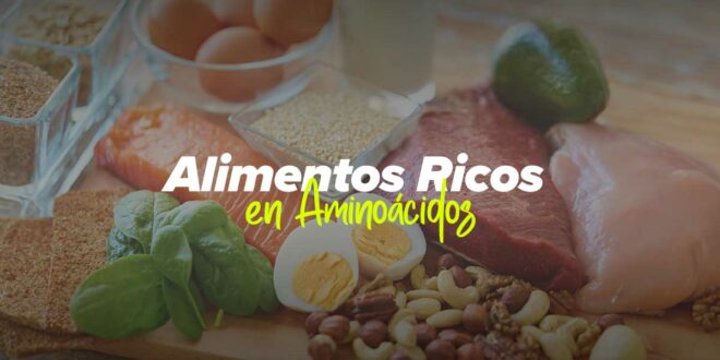 Alimentos más Ricos en Aminoácidos