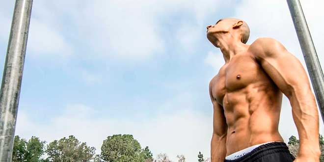 Ganar Masa Muscular Dieta Vegana