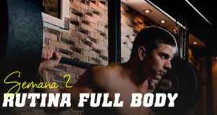 Full Body Hipertrofia HSN Semana 2