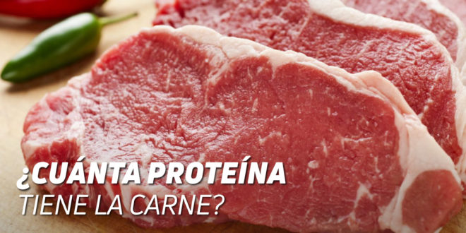 Cuánta Proteína tiene la Carne de Ternera? 2025