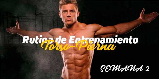 Rutina de Hipertrofia, Torso-Pierna. Semana 2