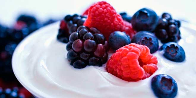 Alimentos Funcionales Prebióticos Alimentos Funcionales