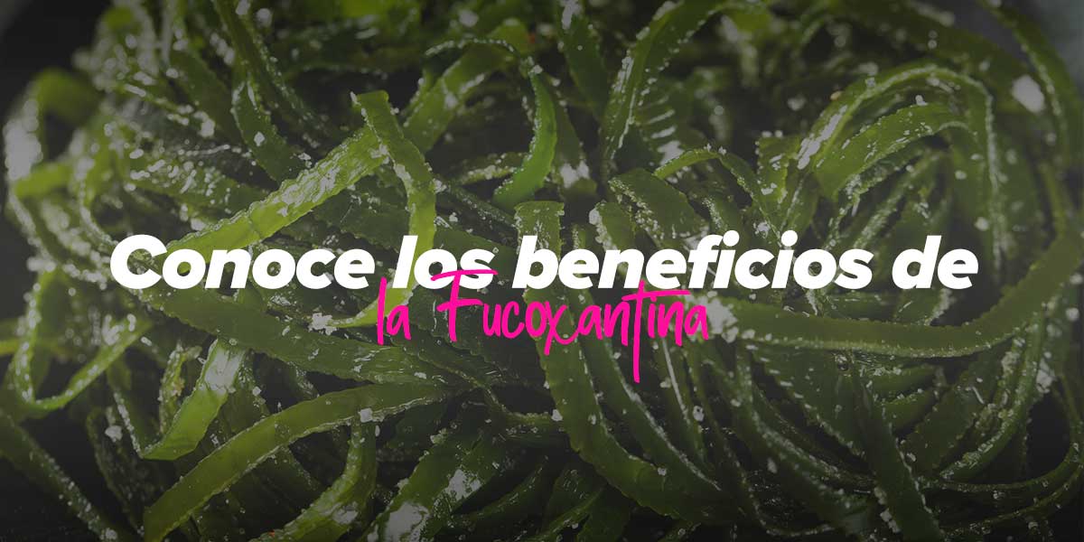 Qué es la Fucoxantina, Beneficios y Cómo Tomarla