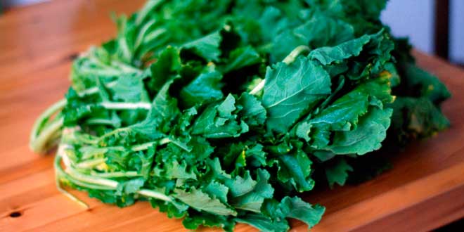 Verduras Hojas Verdes