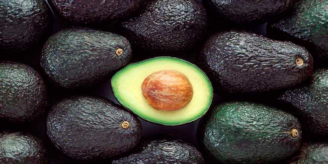 Aguacate y Fibra