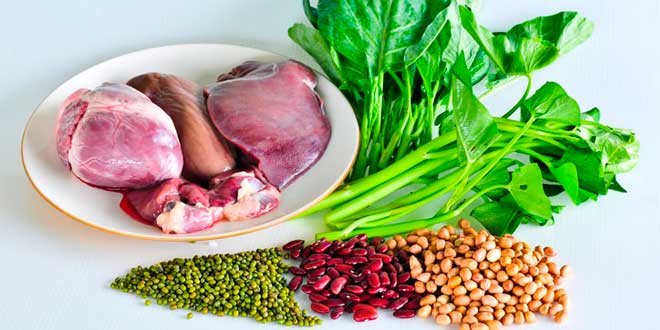 Los 15 Alimentos ricos en Hierro