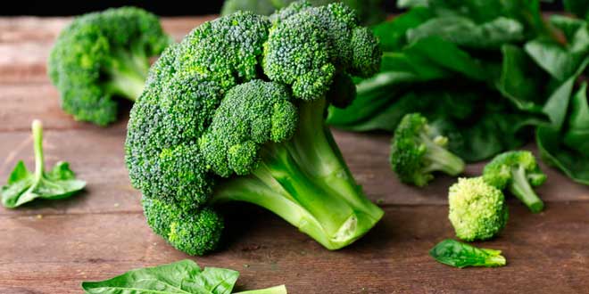 Brócoli y Fibra