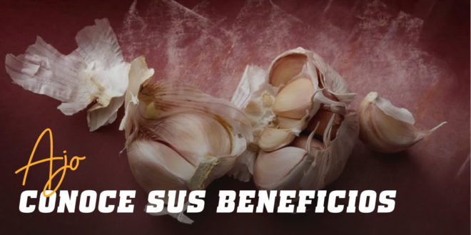 Ajo: Conoce Todos sus Beneficios para la Salud
