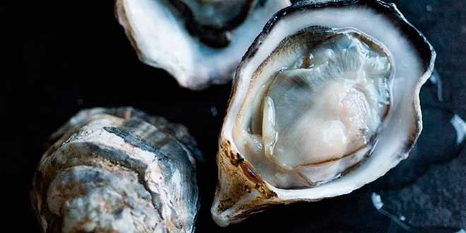 Ostras y contenido de Zinc