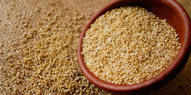 Quinoa y Fibra