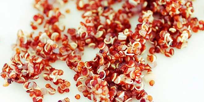 Quinoa y contenido en zinc