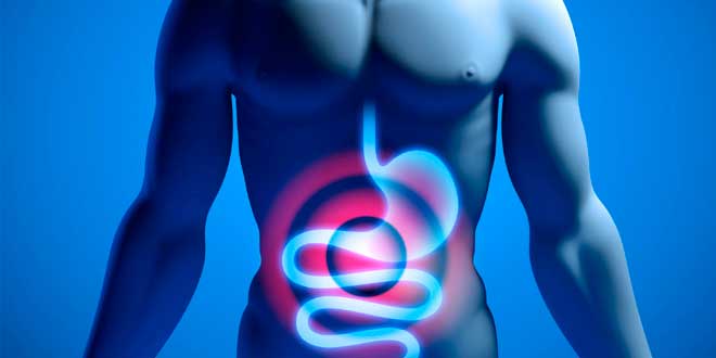 Ajo y salud digestiva