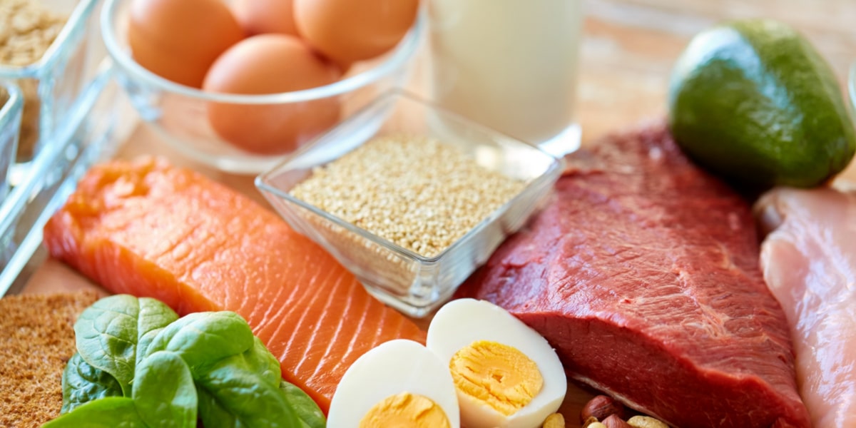 Alimentos proteicos Alimentos proteicos