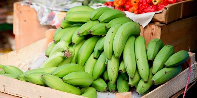 Banana y almidón resistente