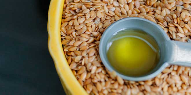 Aceite de Lino para Veganos