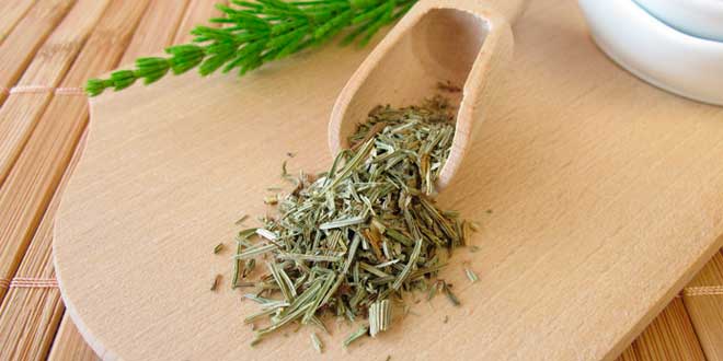 Cola de Caballo como Remedio Natural