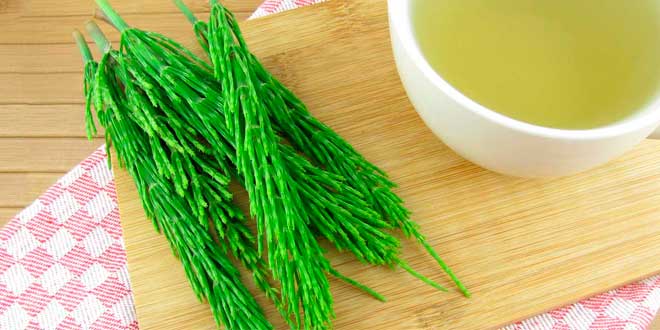 Cola de Caballo, un diurético natural