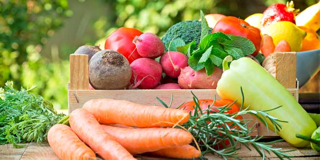 Trucos para aumentar el consumo de verduras Trucos para aumentar el consumo de verduras