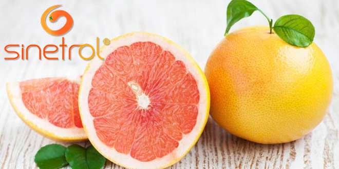 Sinetrol de Fytexia