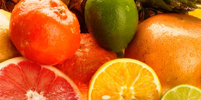 Sinetrol Beneficios y Propiedades para Perder Grasa Sinetrol Beneficios y Propiedades para Perder Grasa