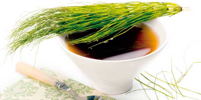 Té de Cola de Caballo