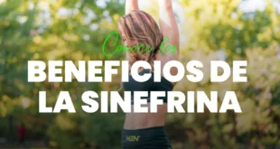 Mujer vestida con ropa deportiva se estira al aire libre en un entorno natural trasmitiendo una sensación de salud y bienestar.