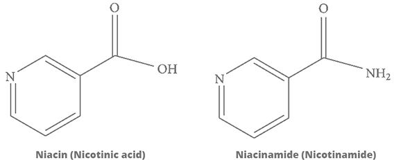 Niacina y Nicotanamida