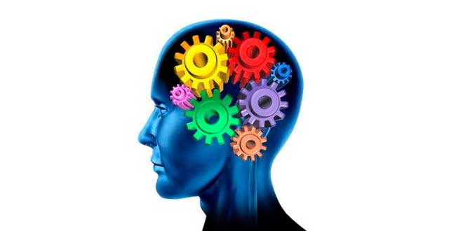 Niacinamida nootríopico