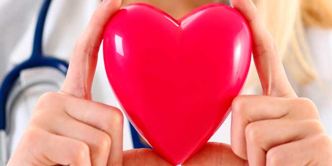 Niacina Salud Cardiovascular