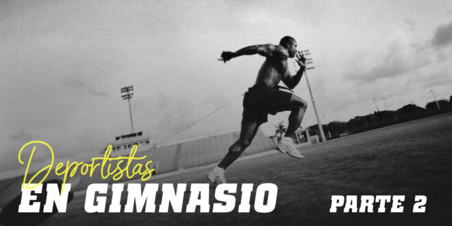 Guía HSN: Deportistas en el Gimnasio. Parte 2 Guía HSN: Deportistas en el Gimnasio. Parte 2