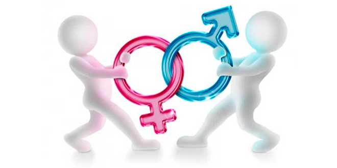Hormonas Sexuales
