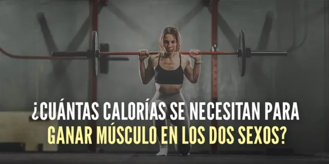 Cómo calcular el superávit calórico necesario para construir músculo en ambos sexos