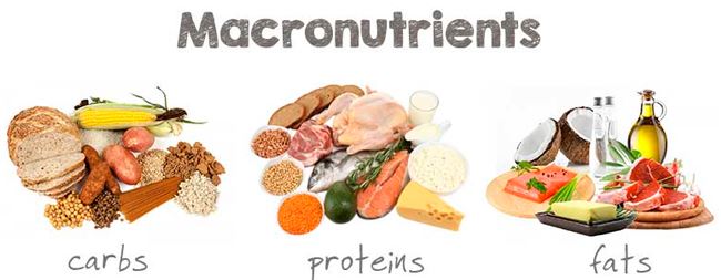 Macronutrientes