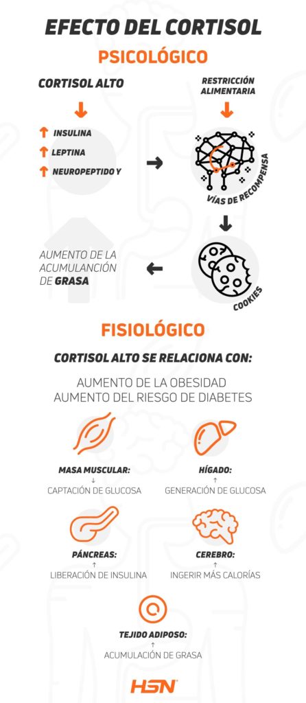 Efectos del Cortisol