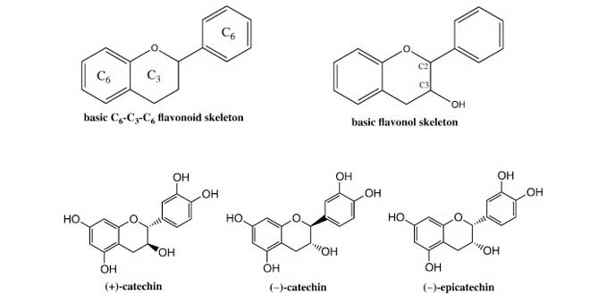 Famille des Flavonols