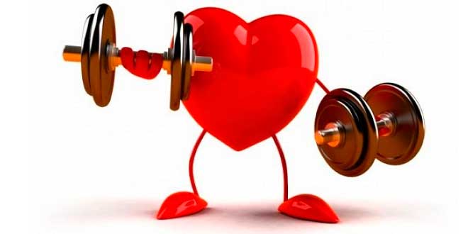 Santé Cardiovasculaire