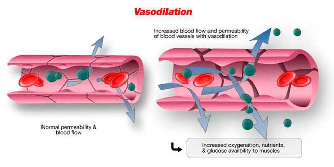 Vasodilatation