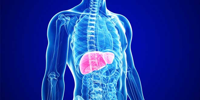 SAMe et santé du foie